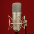 Vocals